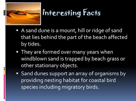 fun facts about dunes.